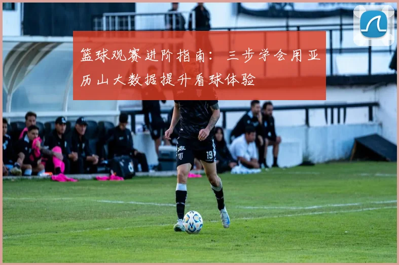 篮球观赛进阶指南：三步学会用亚历山大数据提升看球体验